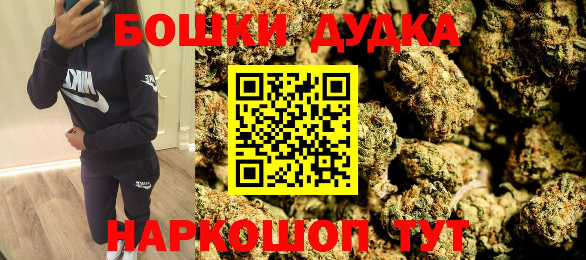 Бошки Шишки планчик Аша